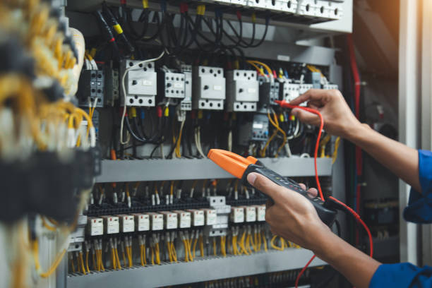 Best Home Electrical Repair  in Ortonville, MN