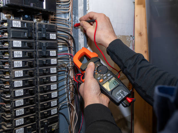 Best Electrical Repair Services  in Ortonville, MN